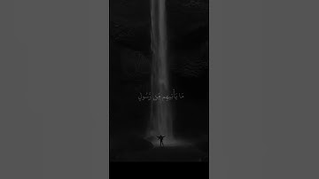 يا حسرةً على العباد #تلاوة_هادئة #عبد_الرحمن_مسعد #أرح_سمعك_وقلبك