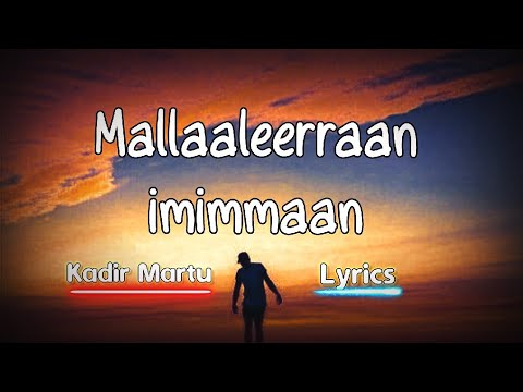 Kadir Martu   Mallaaleerraan Imimmaan  Oromo Music with Lyrics  Official Video 