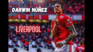 TOP 10 Darwin Núñez goals for Liverpool