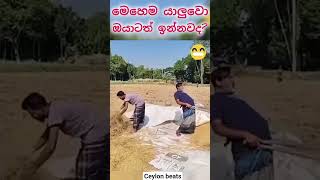   short funny comedy trending memes 1million shortfeed