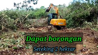 Sany sy75c dapat borongan seteking 2 hektar‼️🌳sampai suhu ikut turun ke lapangan