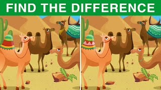 Find The Difference | Challenge 382
