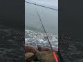 “ITS A GIANTT!” #helpmemakethismakesense #fishing #fishfearme #amnewbutnottheleast #cantcatchfish