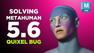 Metahuman Maya Plugin & Quixel Bridge Bug