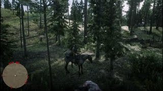 Red Dead Redemption 2 | Weapons Expert 10 Challenge |Kill a Grizlly Bear with a throwing knife
