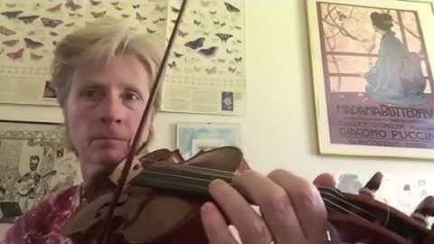 Swallowtail Jig Easy Play Along