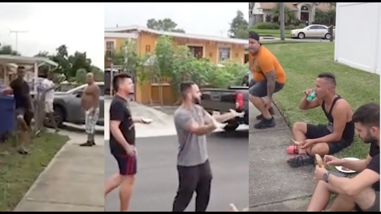 Vecinos de Tampa se quejan de los cubanos que crían palomas en barrios residenciales