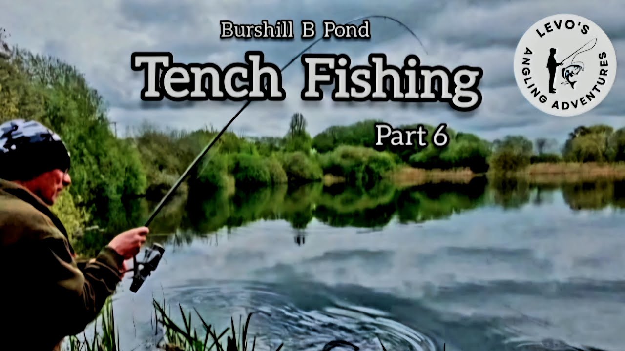 Tench Fishing 2025 | Burshill B Pond | Catching Tench | Hull & District Angling Association 