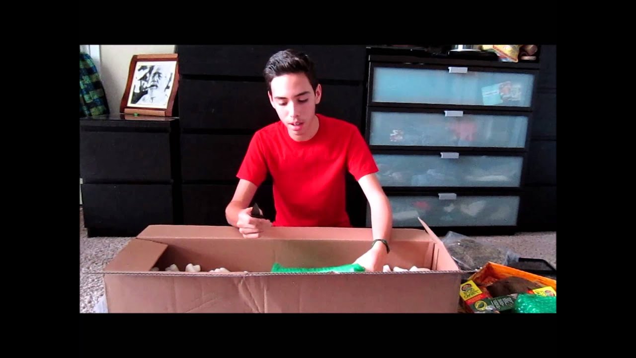 LLL Reptiles unboxing (supplies) - YouTube