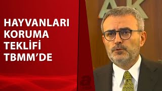 Hayvanları Koruma Kanunu Teklifi Mecliste A Haber