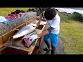 堤防で釣ったマグロを100均包丁でヤジられながら豪快に捌く【八丈島♯4】