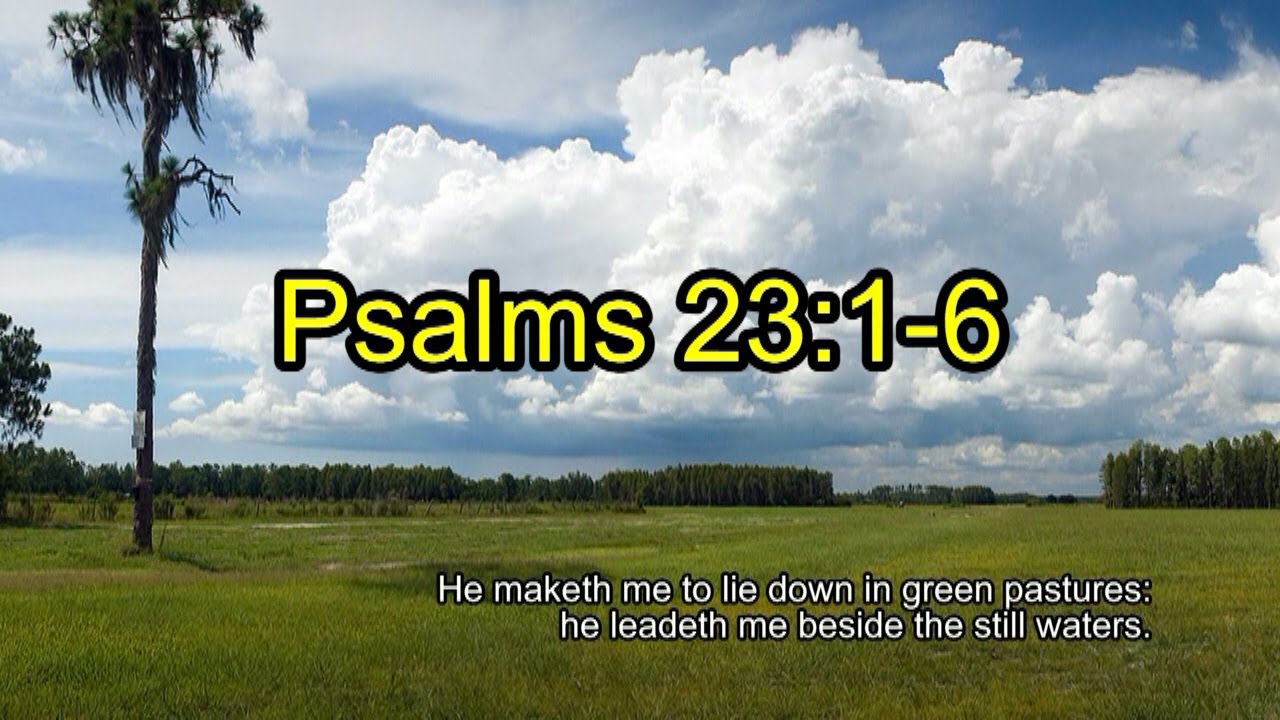 Psalm 231 6