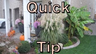 Ornamental Grass Care - Easy Spring Clean Up!