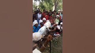Krishna Lambore Shilangana at Yarebail 2018