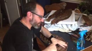 Pre-rolling Cigar Leaf Preperation