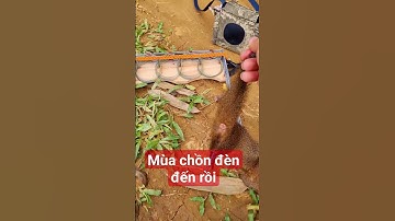 mùa bẫy chồn đèn đến rồi ai cần đồ bầy lh chien lee 0️⃣9️⃣6️⃣3️⃣8️⃣4️⃣5️⃣4️⃣0️⃣1️⃣