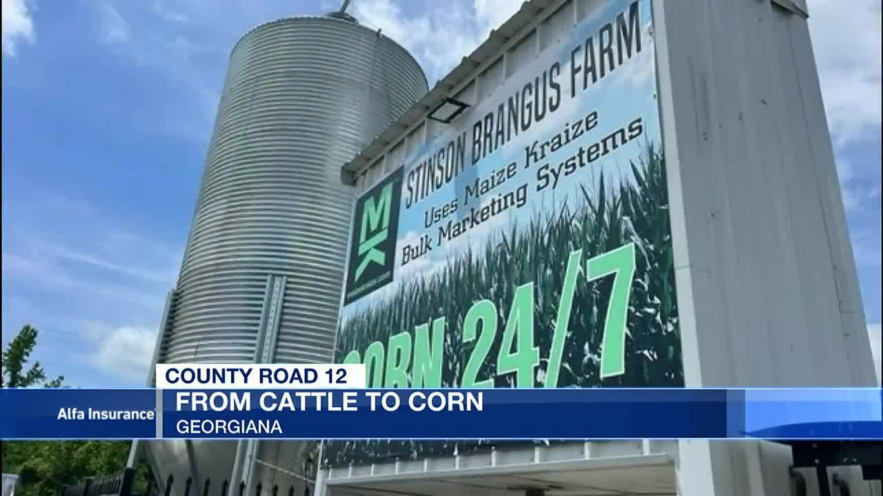 County Road 12: From cattle to corn - YouTube