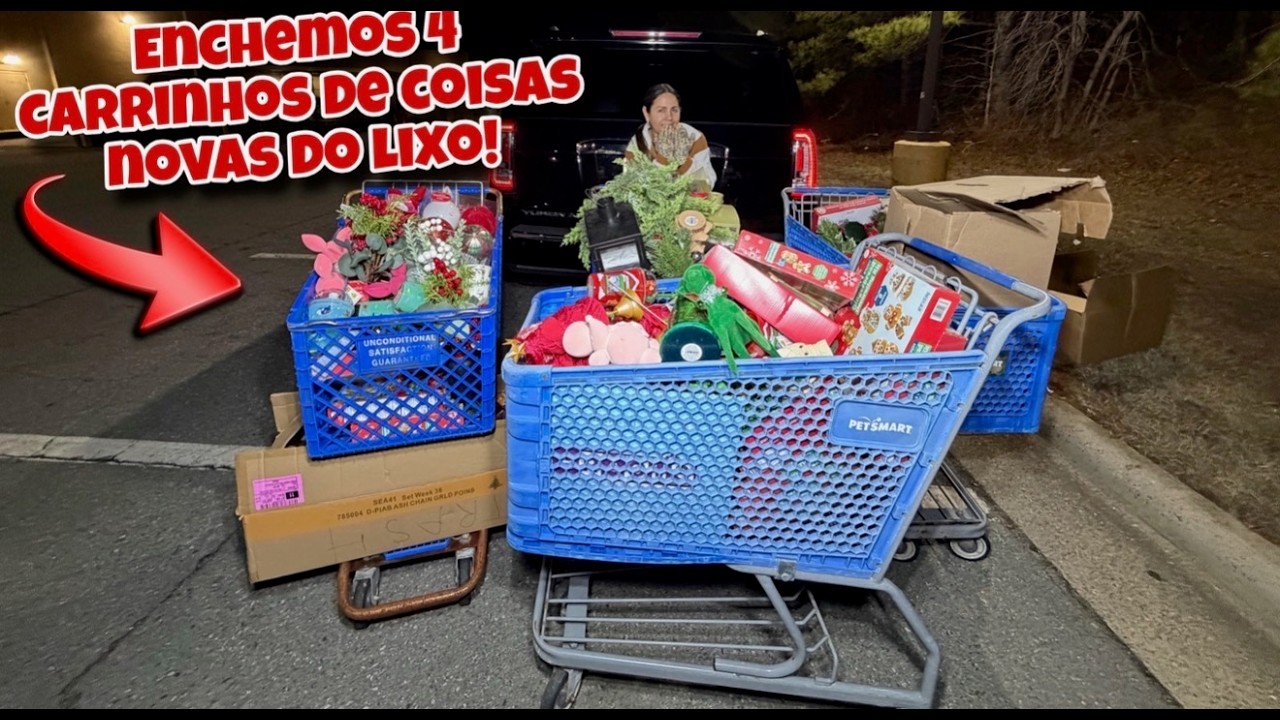 Enchemos 4 carrinhos de coisas novas do lixo!