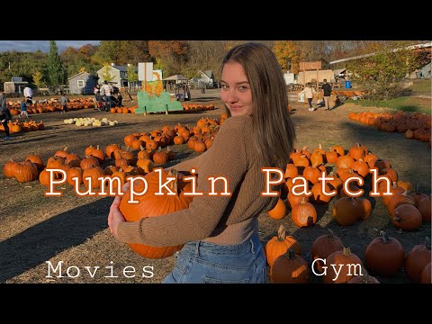 გოგრის-ფერმა||-cupshe-haul-||-ჩემი-ყოველდღიური-ცხოვრება