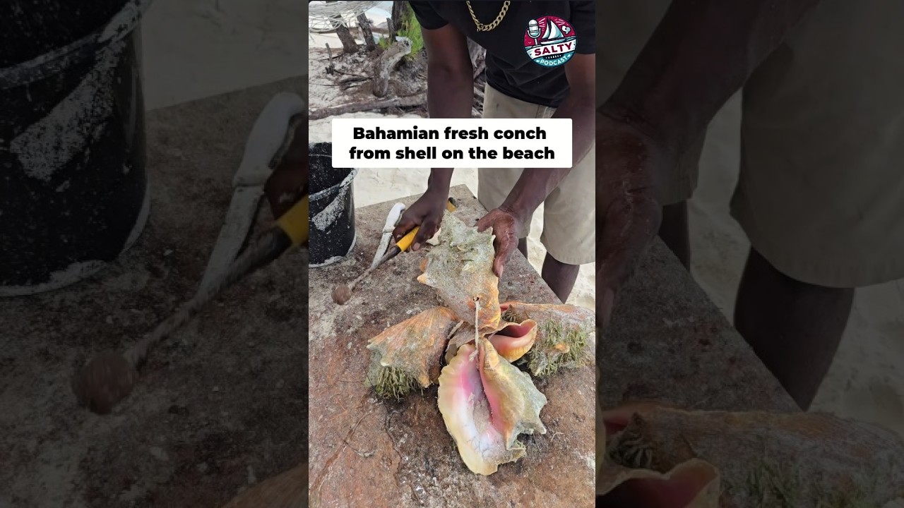 ⁣Fresh Conch Salad made on the beach at Chat-N-Chill Georgetown Bahamas
