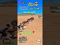 سباق كلاب سلوڨي الجزء 2 أسرع الكلاب سباق كلاب  كلاب سباقات حيوانات 