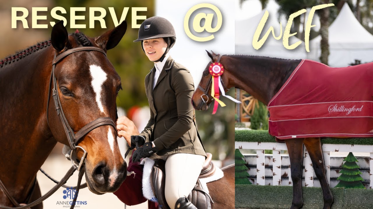 Заняла второе место среди резервных чемпионов на Всемирной выставке лошадей!!