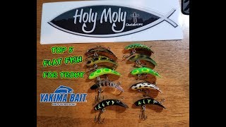 My Top 5 FlatFish Colors for big Trout 