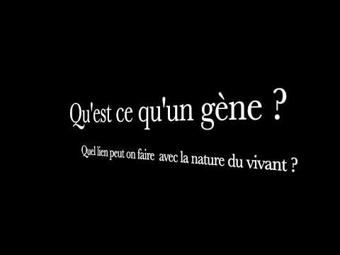 Variabilité de l'ADN : niveau 2nde