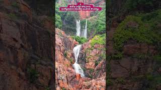Kapila Theertham Temple Waterfalls #tirupati #tirumala #hindutemple #shiva#waterfall #lordbalaji