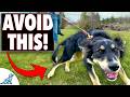Leash Pulling Isn't the Problem - Your Walking Style Is
