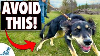 Leash Pulling Isn't the Problem - Your Walking Style Is