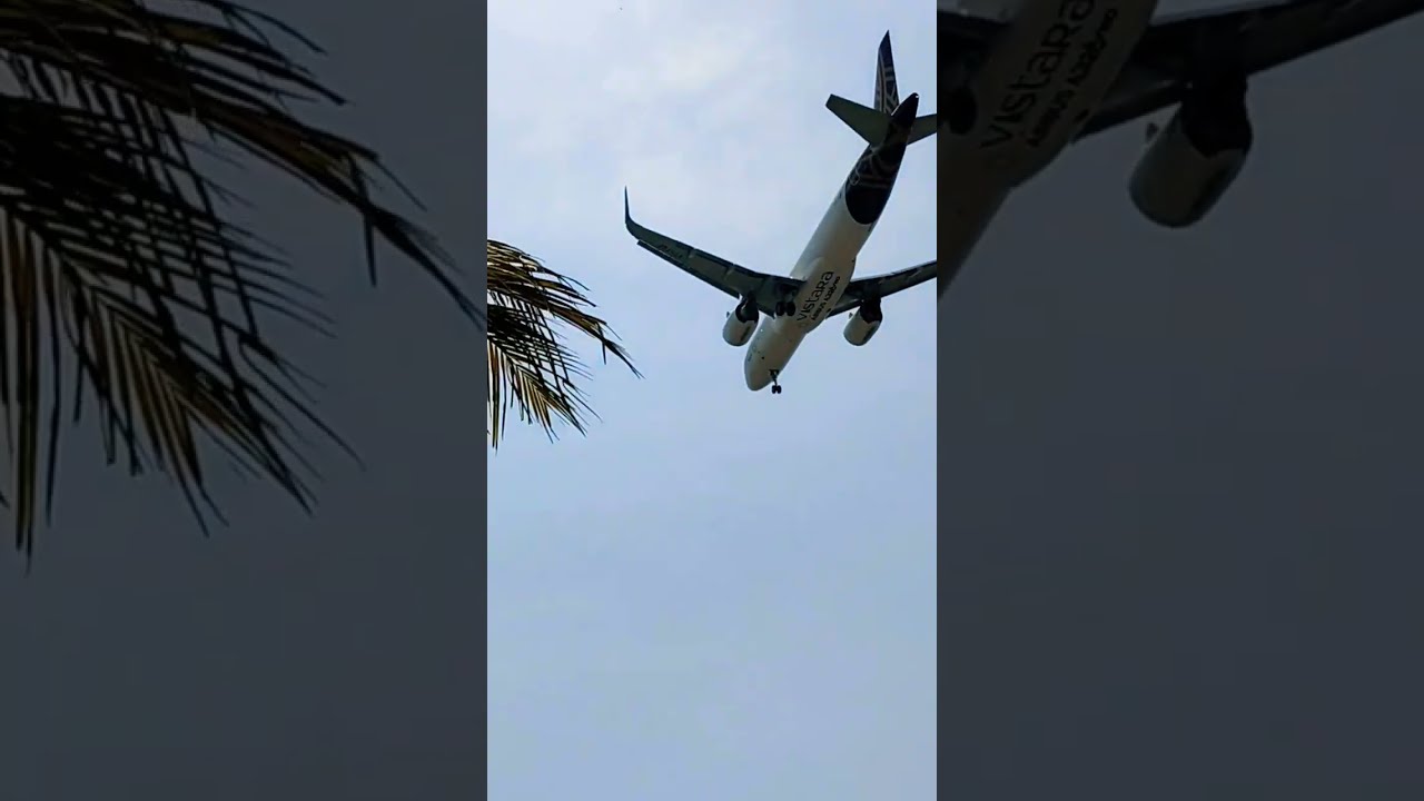 Air India Flight airplane airindia viralvideo viral youtubeshort Air India Flight airplane airindia viralvideo viral youtubeshort