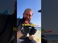 Descubrimientos inesperados en la orilla 🌊✨