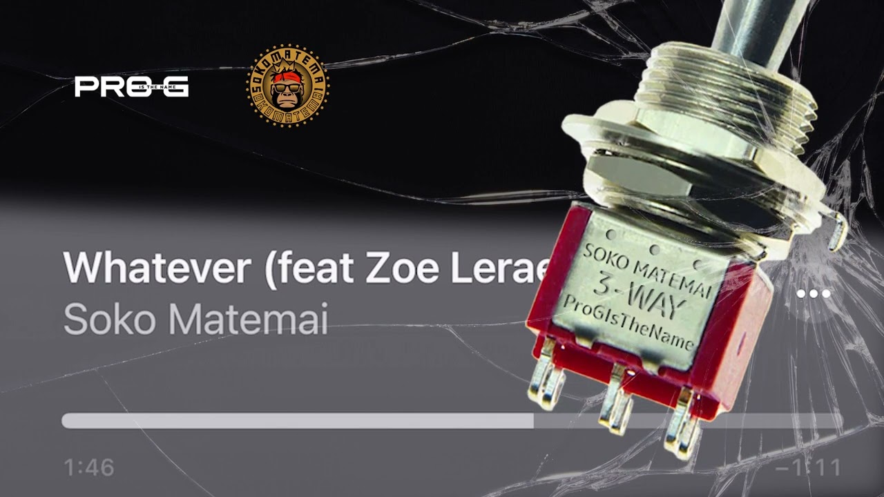 Soko Matemai & ProGIsTheName -  Whatever feat Zoe Lerae
