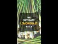 The Ultimate Lemongrass Hack. #shorts