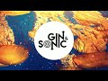 Gin and sonic 2020 yearmix mashups remixes and originals