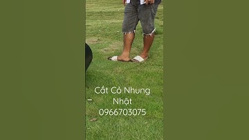 Cắt Cỏ Nhung Nhật. Toro Greensmaster 1000#0966703075