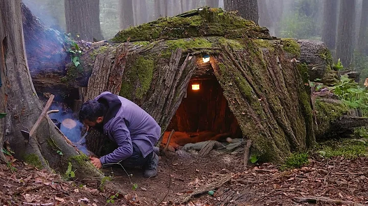 Bushcraft Shelter Camping; Building a BEST Secret Survival Dugout Under a Fallen Tree