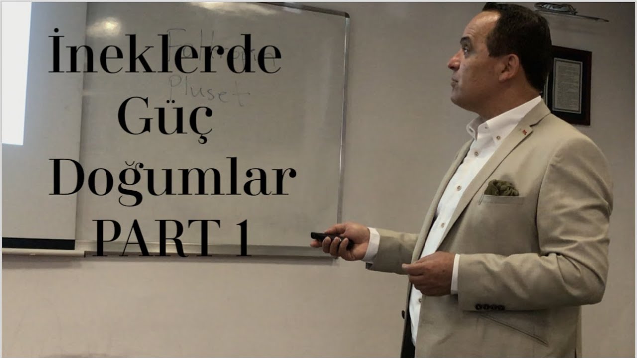 İneklerde Güç Doğum Part 1 | Prof. Dr. Ayhan Baştan