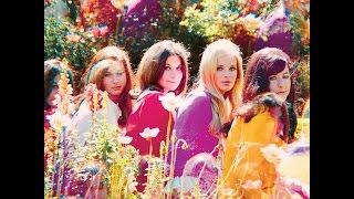 Honey Ltd. - Silk N Honey