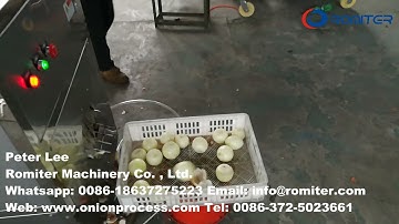 Automatic Onion Root Cutting and Peeling Machine 2021