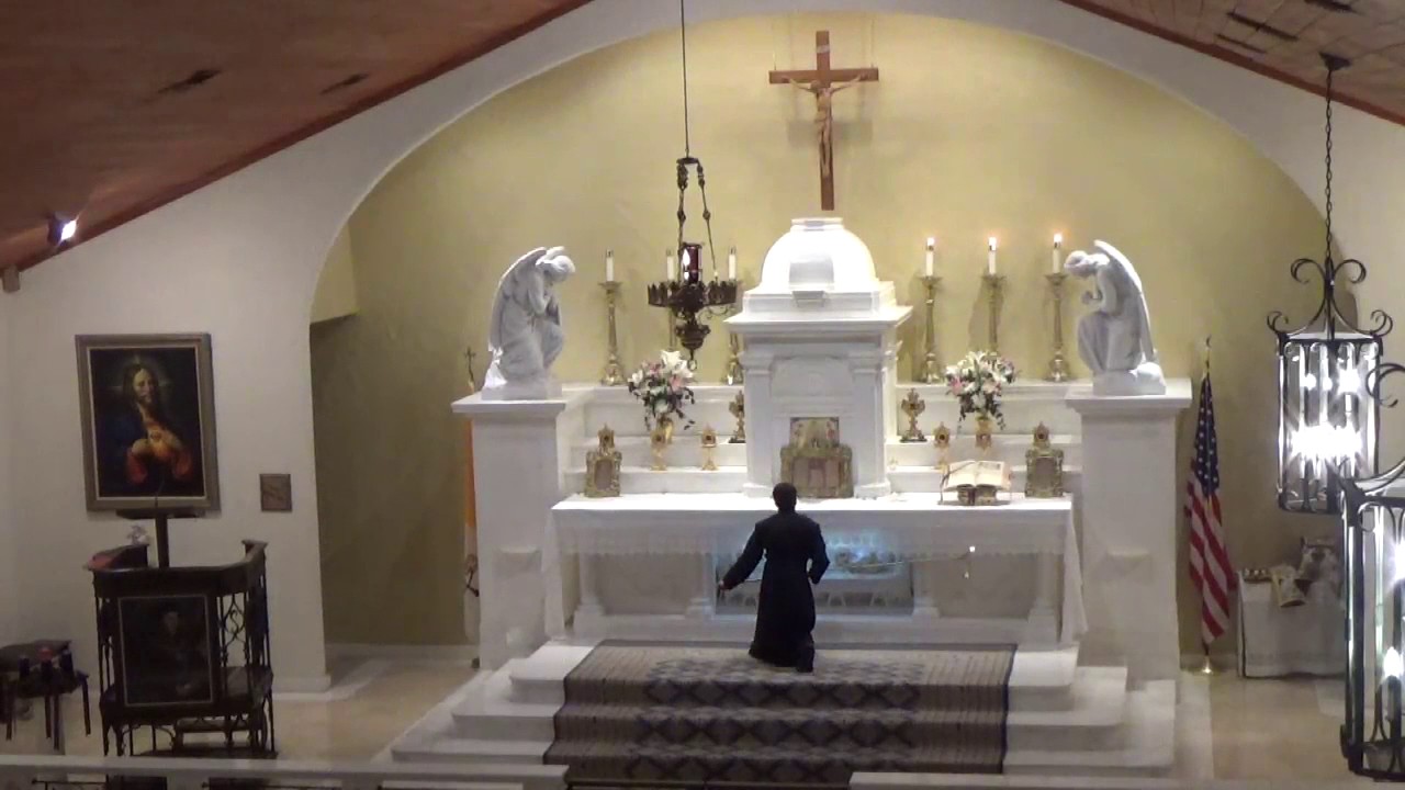  Feast of the Immaculate Conception