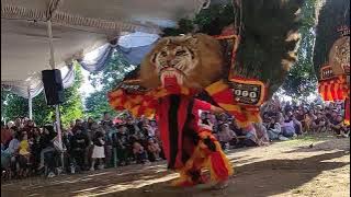 Solah dadak merak, reog ponorogo di grojogan, pitu, Ngawi