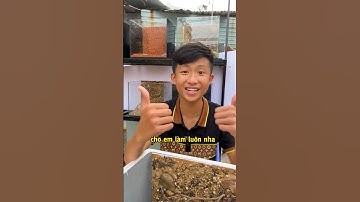 Hướng dẫn thằng em zai set up Layout trong thùng xốp kính🥳