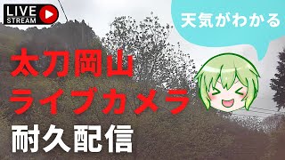 太刀岡山(ハサミ岩)ライブカメラ のライブ映像