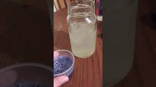 MAGIC COLOR CHANGING LEMONADE!!!