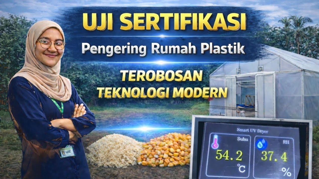 Pengujian Mesin UV Dryer Pengering Padi dan Jagung