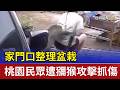 家門口整理盆栽 桃園民眾遭獼猴攻擊抓傷