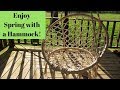 Enjoy Spring With A Brand New Hammock Chair Enjoy Spring With A Brand New Hammock Chair