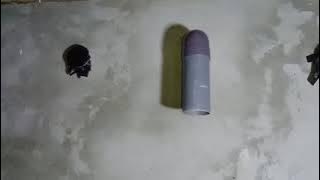 sp raja liur revisi di rbw 8x16 4 lantai umur 1 THN hasilnya mantap.